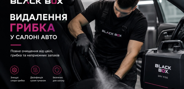Видалання плісняви та грибка з салону авто